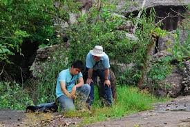 Image result for Hartliella