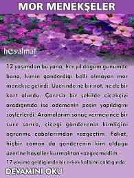 Emine Uzun Adli Kullanicinin Hayat Panosundaki Pin Mor Pembe Ve Renkler