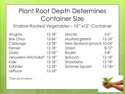 Pin On Gardening For Food