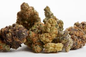 Because cbd, like thc, is fat soluble, infusing hemp flowers in oil or butter is a great method if you're looking to digest your cbd. Exploring The World Of Cbd Flower Weedmaps