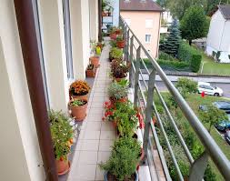 Meski mayoritas balkon rumah memiliki luas yang terbatas, sebenarnya fungsi balkon sangat banyak dan beragam, salah satunya adalah membuat tampilan eksterior rumah anda menjadi cantik dan bagus. 9 Desain Taman Mungil Di Balkon Apartemen Lahan Terbatas Bukan Masalah Semua Halaman Idea