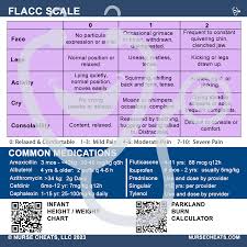 Image result for FLACC Scale