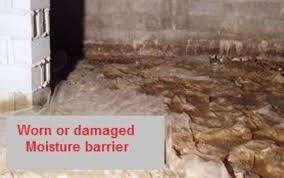 Goose creek is a city in berkeley county in the u.s. Crawslpace Repair Maintenance By Lightning Termite Pest Control In Goose Creek Sc Alignable