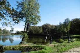 France 5 fr on n est pas que des cobayes. On N Est Pas Que Des Cobayes Tournee A Saint Julien Diffusee Le 16 Janvier Le Journal Des Sables