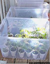 Hottest Absolutely Free Mini Gardening Tools Thoughts Finding Pointed In The Back Garden Somebody In Charge Of I Mini Greenhouse Diy Garden Container Gardening