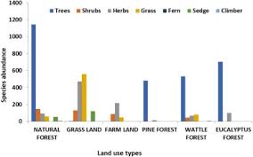 Image result for Eriosema flexuosum