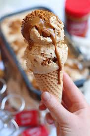 The basic milkshake without ice cream requires milk, sugar and ice cubes. Biscoff Ice Cream Jane S Patisserie