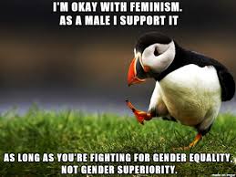 There Is No Superior Gender We Are All Human Meme On Imgur