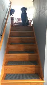 If your basement stairs are in a state of total disrepair, then replacement may be the only option left. 14 Unique Basement Vanity Options Decorating In 2020 Stair Makeover Finishing Basement Stair Renovation