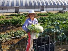 It wilts quickly, so be sure to use it within a few days. Korean American Farmers On Minari And Their Own Experience Time