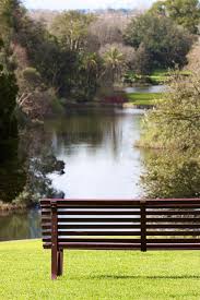 Peace And Tranquility Garden In The Woods Beautiful Places Beautiful Nature