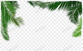 Download gratis 20.000 lebih background gambar daun untuk desain slide powerpoint, kartu nama, website dan blog, serta aneka desain grafis lainnya. Coconut Leaf Png Gambar Daun Gambar