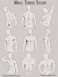 Anime Male Anatomy Reference Materi Pelajaran 8 Search, discover and share your favorite anime muscle gifs. anime male anatomy reference materi