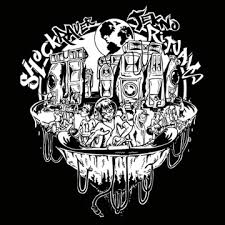 Image result for shockraver