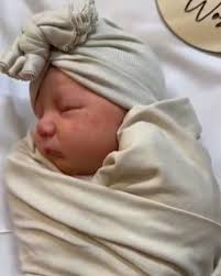 Fox & Co Hair Studio Griffith (@foxandcohairstudiogriffith) · Instagram  照片和视频