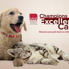 Maybe you would like to learn more about one of these? Sunrise Pet Clinic 23 Reviews Veterinarians 5635 N Swan Rd Tucson Az Phone Number