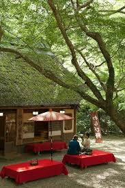 Maison De The Dans Le Parc De Nara Voyage Japon Lever De Soleil Maison De The
