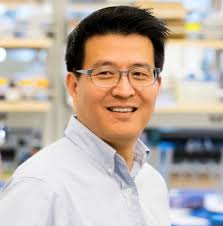 Michael Yu and Shawn Owen Receive NIH R01 Grant