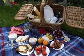 Kinderopvangheyendael.nl the pedagogical staff and children can often be found there, where they can take walks, run and have picnics, or watch the trains and the horse riding school. Picknick Dresden Is S T Draussen
