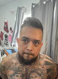 On Friday, June 17, 2022, the Bexar County Sheriff's Office executed a  search warrant in the 6900 block of Martinique Dr. As deputies were  approaching the residence one of the suspects Ashley