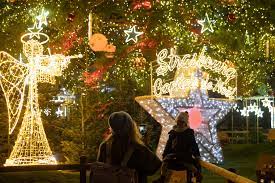 Whether you are celebrating a secular or religious christmas, it is a day for fun, love, and happiness. Home Noel