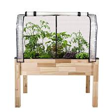 From fresh herbs, flowers to shrubs to small trees thrive in these containers. Best Planter Boxes For Tomatoes 7 Options To Grow Tasty Tomatoes