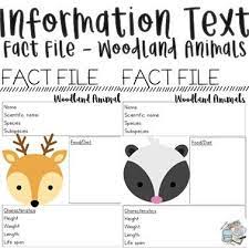 Information Text Woodland Animals Animal Fact File Woodland Animals Animal Facts
