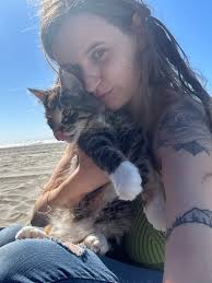 Calico cat found deceased