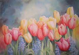 Tulip Floriade Watercolour 46x60 2006 Watercolour Tutorials Funny Art Watercolor