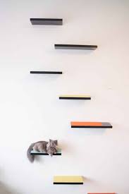 I love these simple cat climbing shelves posted over at. How To Build Cat Shelves That Your Cat Will Love Brooklyn Farm Girl