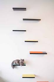 We did not find results for: How To Build Cat Shelves That Your Cat Will Love Brooklyn Farm Girl