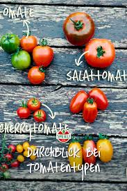 Tomatensorten Unser Hilfreicher Uberblick Uber Cherrytomaten Salattomaten Fleischtomaten Und Co Tomaten Sorten Tomatensorten Tomaten