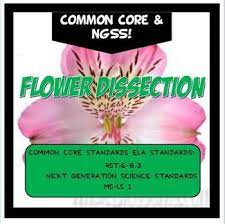 An Open Marketplace For Original Lesson Plans And Other Teaching Resources Lab Activities Ngss Science Lessons Middle School