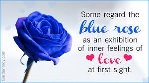 Alternative interpretation of what does it mean when you dream about bouquet. Symbolic Meaning Of Blue Roses That Ll Leave You Stupefied Gardenerdy