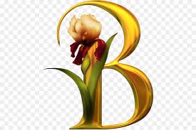 Image result for transparent background flower images
