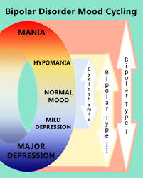 Bipolar Cycle Chart Interesting The Bipolar Journals