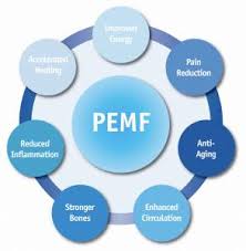 Pemf Machines Pulsed Electromagnetic Field Therapy Devices