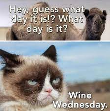 Pin On Days Of The Week Quotes