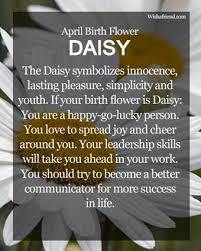 April Birth Flower Daisy April Birth Flower Birth Flowers Birth Month Flowers