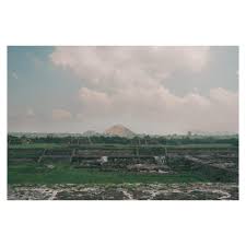 Troy Ali (@troy._.ali) • Instagram photos and videos