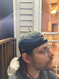 Praying mantis I stumbled upon yesterday 📷