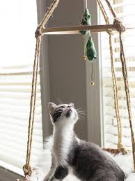 Easy Diys For Cats And Cat Lovers Hgtv Catbed Evcil Hayvan Malzemeleri Kedi Evi Evcil Hayvanlar