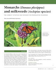 Pdf Monarchs Danaus Plexippus And Milkweeds Asclepias Species The Current Situation And Methods For Propagating Milkweeds