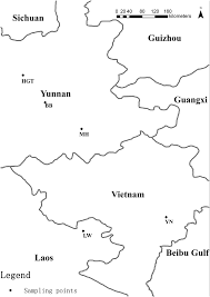 Image result for Pentarhopalopilia