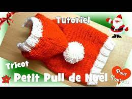 Tutoriel Tricot Gilet Pour Chien Chihuahua Bichon Maltais Chat Et Chiot Youtube Dog Sweater Crochet Pattern Crochet Dog Sweater Dog Clothes Diy