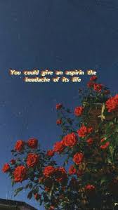 Watch popular content from the following creators: Song Lyrics Iphone Wallpapers Top Free Song Lyrics Iphone Backgrounds Wallpaperaccess