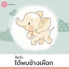 เปิดตำรา 7 ฝันบอกเหตุ ฝันแบบนี้เตรียมตัวเป็นคุณแม่ได้เลย