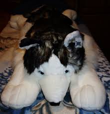 Jaag Giant Husky Plush!! by LushHusky -- Fur Affinity [dot] net