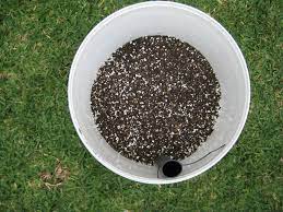 We did not find results for: Potting Mix For Self Watering Buckets Container Gardens