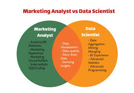 Marketing Analyst Vs Data Scientist What S The Main Difference